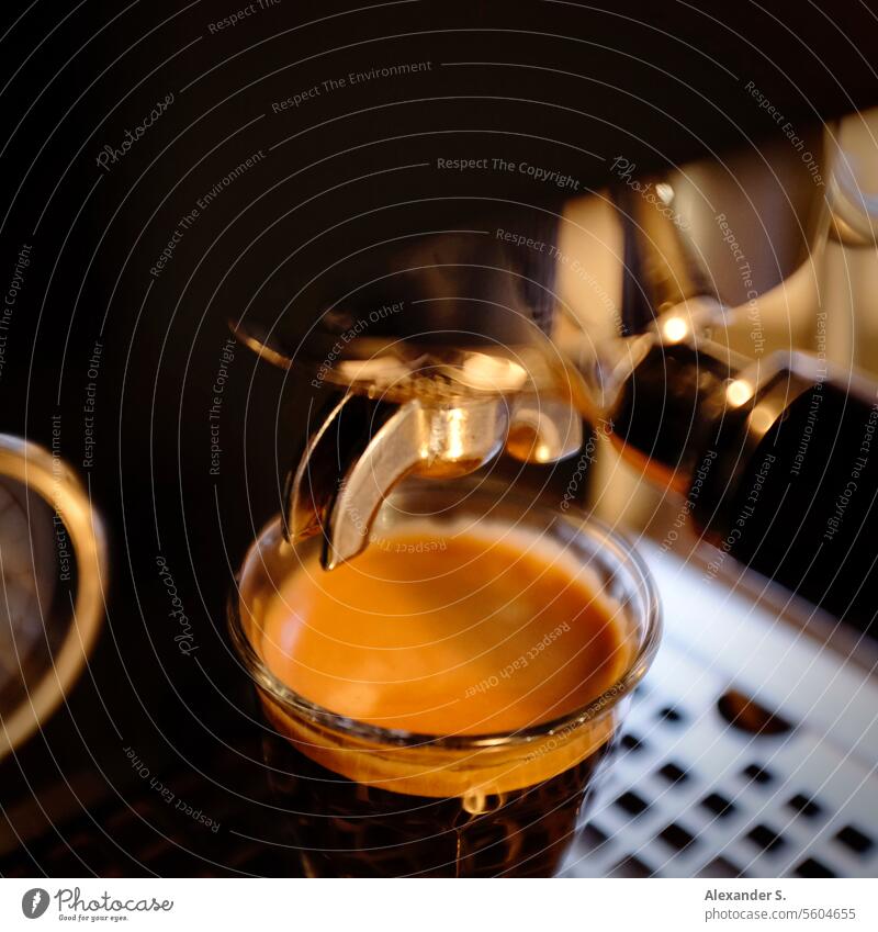 Double espresso in a glass under a portafilter of an espresso machine | Warming Espresso espresso glass Espresso machine screen carrier screen carrier machine