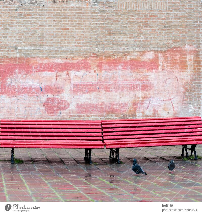 two red benches in front of a wall in the old town - two pigeons in the foreground remain in the picture Bench Red Old town Seating Pigeon rainy weather