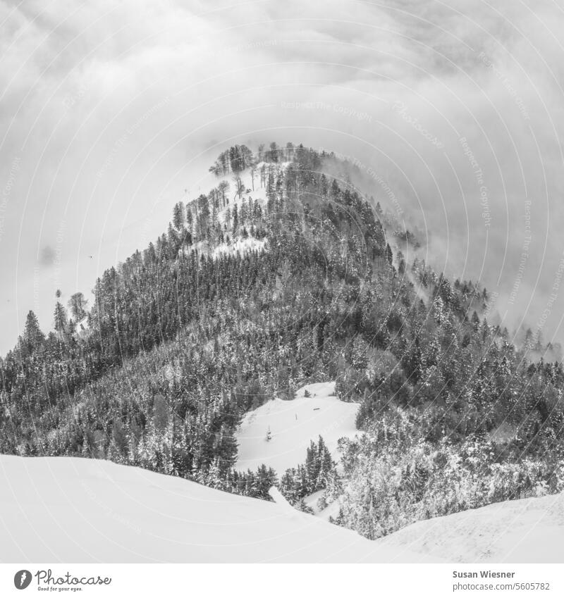 Wooded mountain with snow half in the clouds - black and white wooded hill Snowscape Clouds Shroud of fog Misty atmosphere Exterior shot Hill
