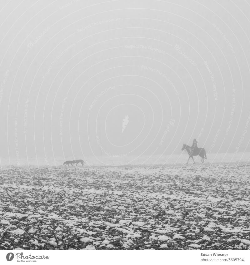 Rider in the fog with two dogs in a slightly snowy landscape - black and white Misty atmosphere Foggy landscape foggy snow-covered landscape Field with snow