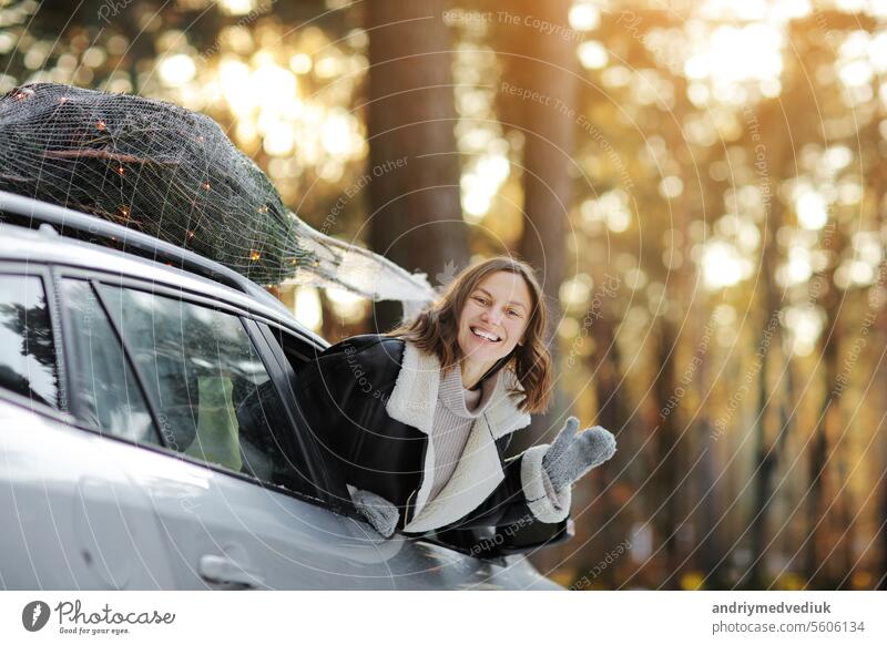 Happy woman leant out of the car window with a illuminated Christmas tree on a rooftop. Concept of New Year preparation. Idea of fairy tale and festive mood in wintertime. Winter holidays travels