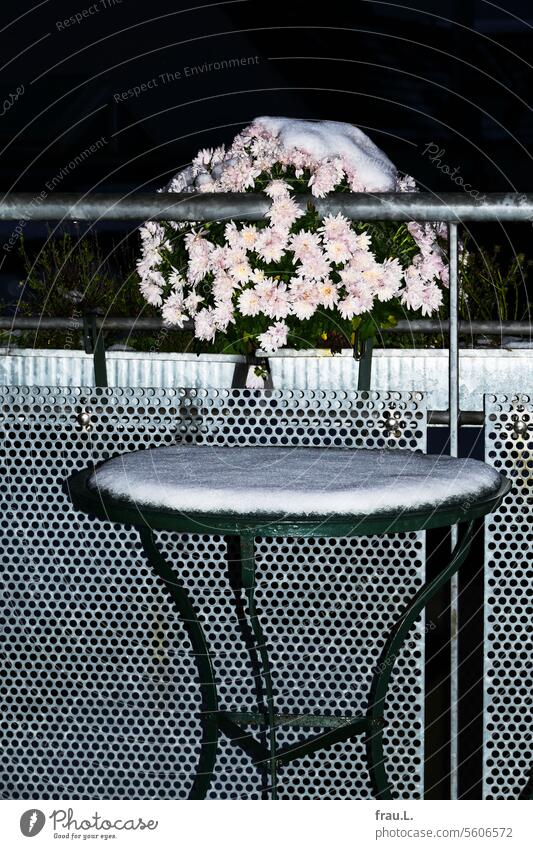 Winter flower with table Crysanthemum Balcony Evening Night blossom flash balcony box Snow Winter mood Table Bistro table
