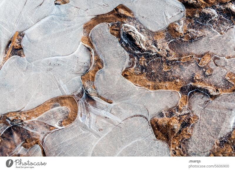 Icy puddle Ice Puddle Structures and shapes Pattern Frozen Cold Frost Winter Water naturally Abstract Bizarre Freeze Detail Nature Frozen surface Solidify