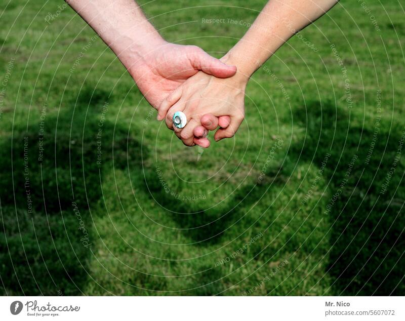 holding hands hold hands Together Couple Relationship Love Lovers Emotions Infatuation Trust Affection Harmonious Related Shadow Partner Touch Hold hands