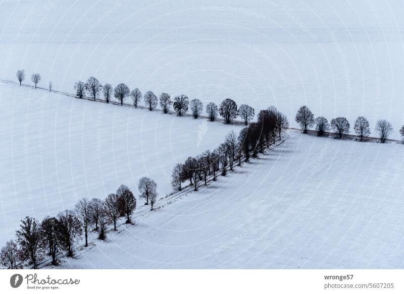Crossing country lanes in a snowy winter landscape Winter Snowscape Winter mood Winter's day Cold White Landscape chill trees Snow layer bare trees fields