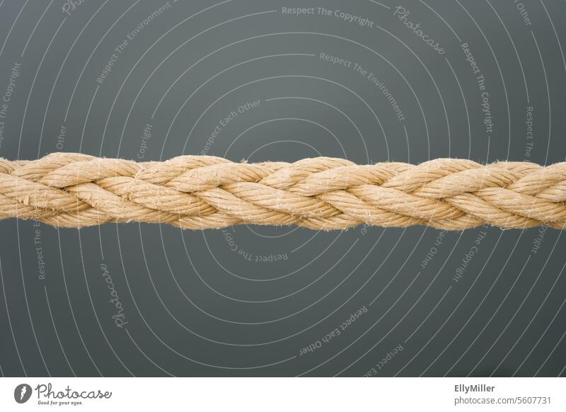 Braided rope. Rope Dew Plaited Harbour Close-up mooring rope Exterior shot Deserted leash Detail Maritime Gray Beige detail detailed