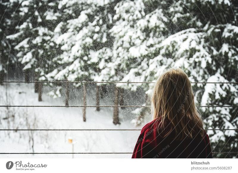 A girl at the window watches the snow fall Snow Winter Cold White Nature Winter mood Winter's day Snowscape Seasons chill Forest Winter forest Girl Joy sad