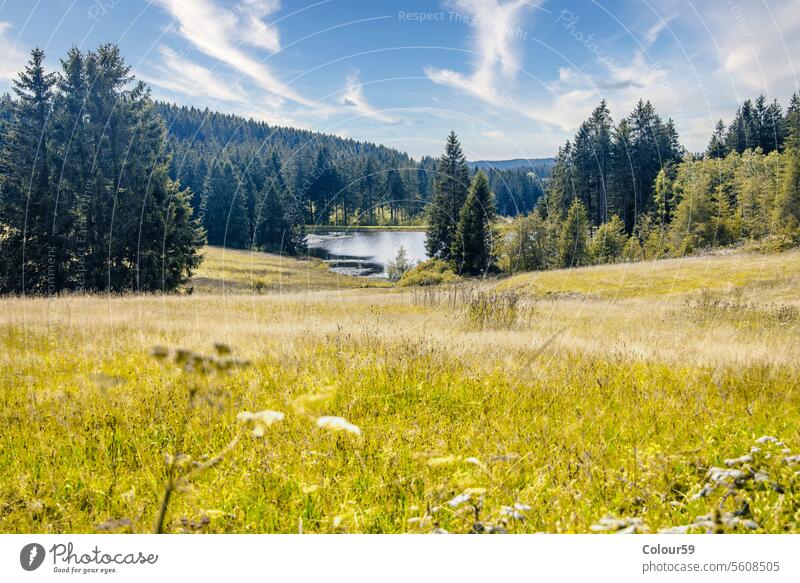 Resin Ponds surround  beautiful nature Resin ponds artificial water landscape Harz Mountains reservoirs area still water mining construction germany fishing sky