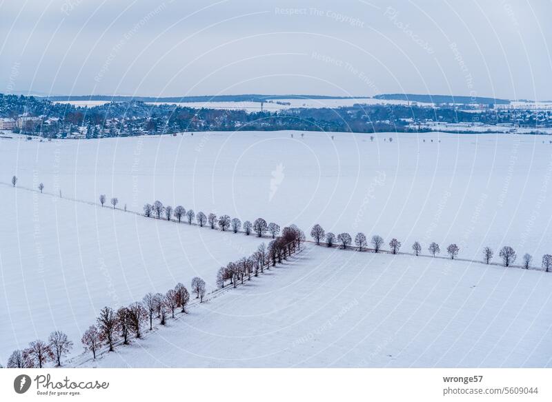 Snowy winter landscape with intersecting country lanes and a village at the top of the picture Winter Snowscape Winter mood Winter's day Cold White Landscape