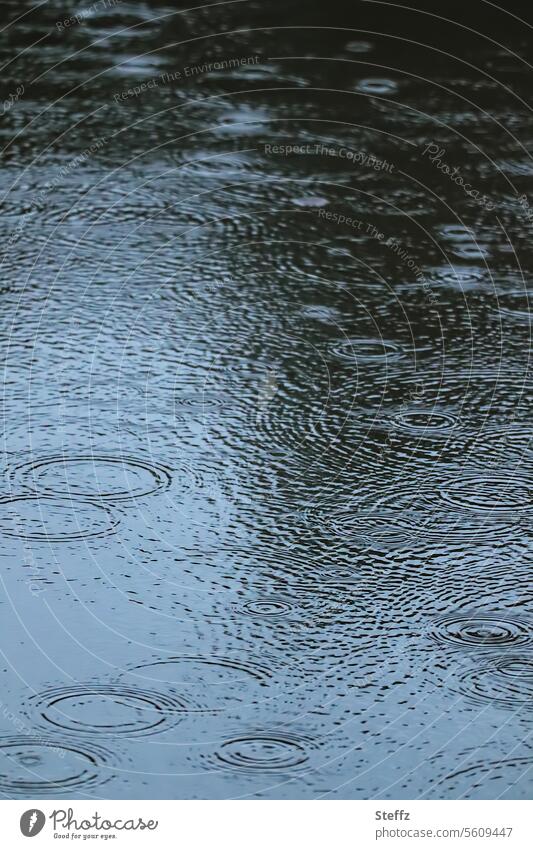 it rains at the lake weather permitting Rain Water Lake Pond Rings circles Concentric expansiveness Disperse impact Weather Climate Rainy weather