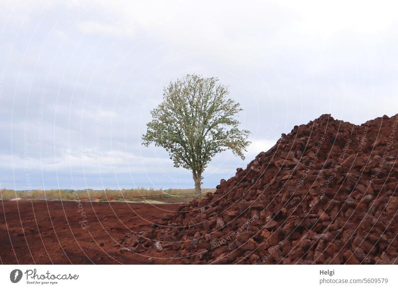 Autumn time | Peat extraction in the moor Bog moorland peat cutting Tree Sky Landscape Nature Deserted Exterior shot Environment Marsh naturally Colour photo