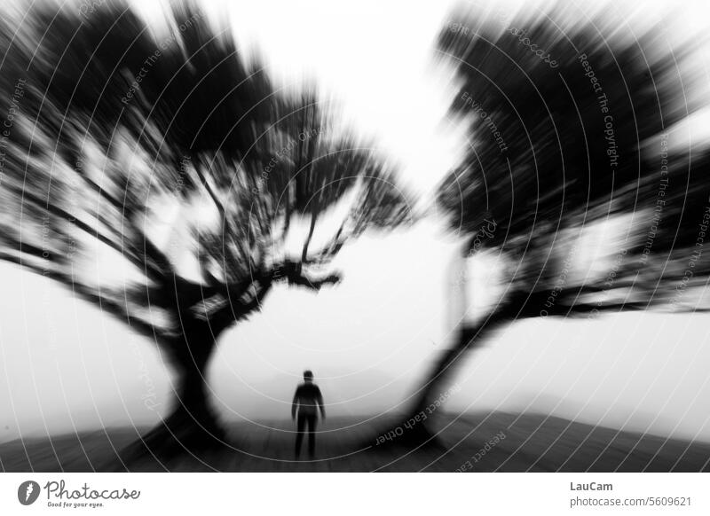 *700* Departure into the unknown lonely person trees Dynamic warped Fog intoxicating Suction back view by oneself on one's own Lonely Ambiguous Eerie Creepy