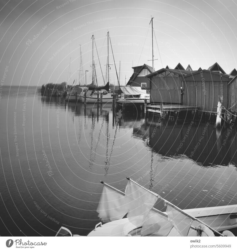 Bodden coast Ahrenshoop Althagen Saaler Bodden Harbour Baltic Sea Water Day Panorama (View) Reflection Peaceful Serene Idyll Jetty Bay Sunlight Long shot