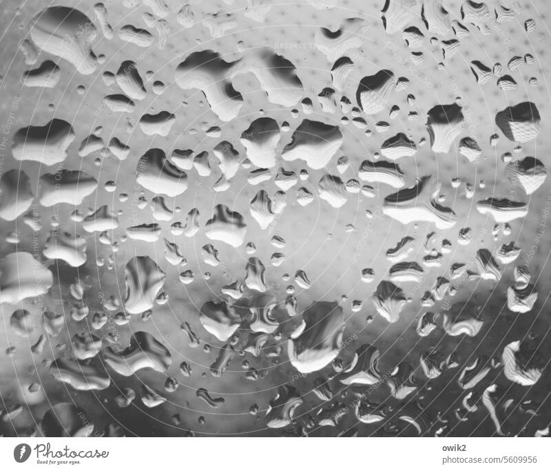 Meeting room Drop Drops of water Metal Water reflection Light smooth Wet surface Structures and shapes raindrops Close-up Surface Abstract Reflection