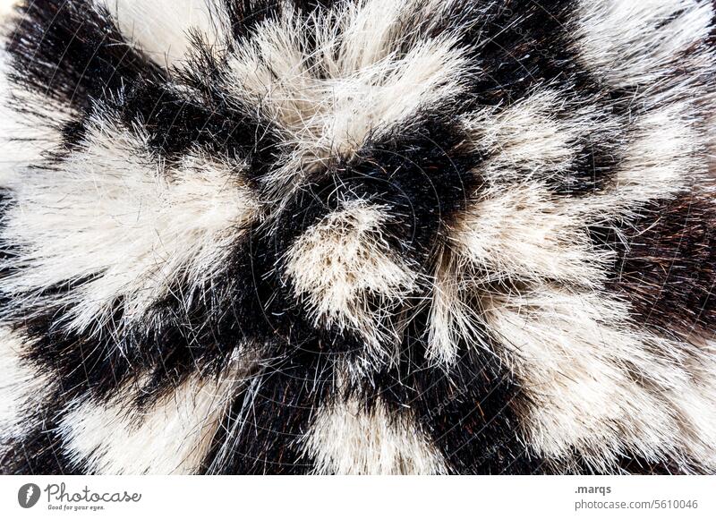 bristly Pelt Close-up Animal black-and-white Bristles animal fur Structures and shapes Caress Pattern