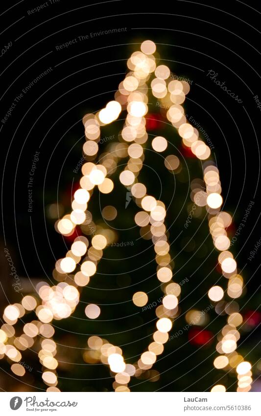 Oh Christmas tree | also blurred to recognize Oh fir tree Christmas fairy lights Christmas decoration Christmas mood