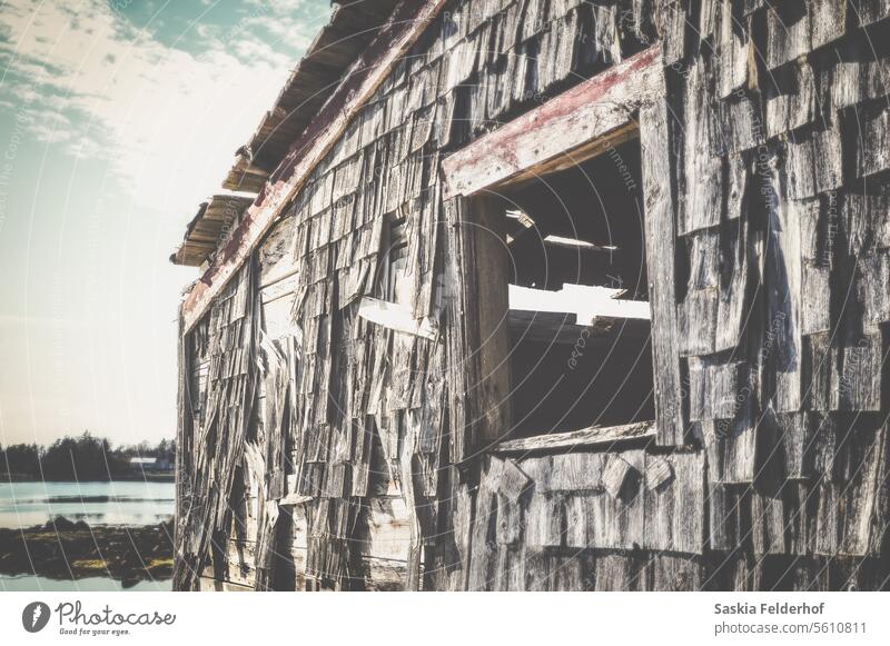 Abandoned shack cabin shingles worn Weathered grey building structure decay forgotten neglect Historic rough Window view Rural Rural Scene desolate