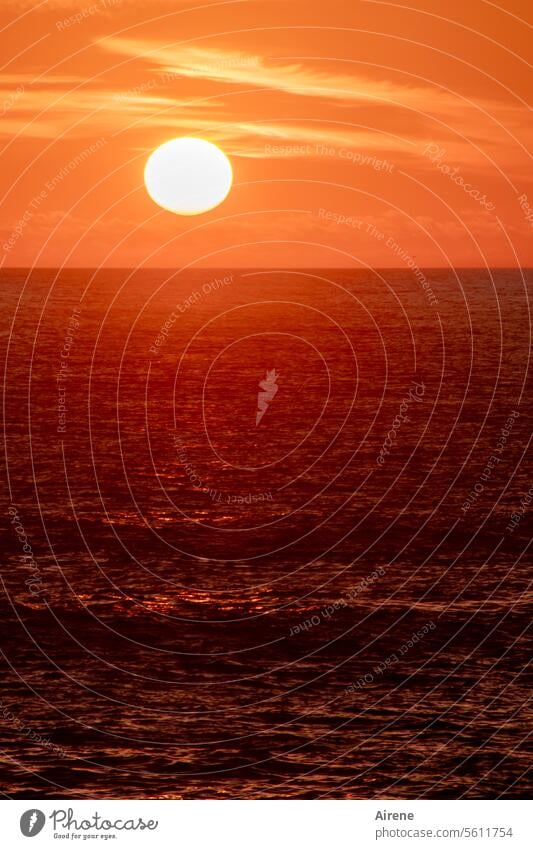 give everything once again sunset evening mood romantic Red Waves Smooth shining like gold Wanderlust Eternity Maritime Evening fiery red Esthetic Timeless