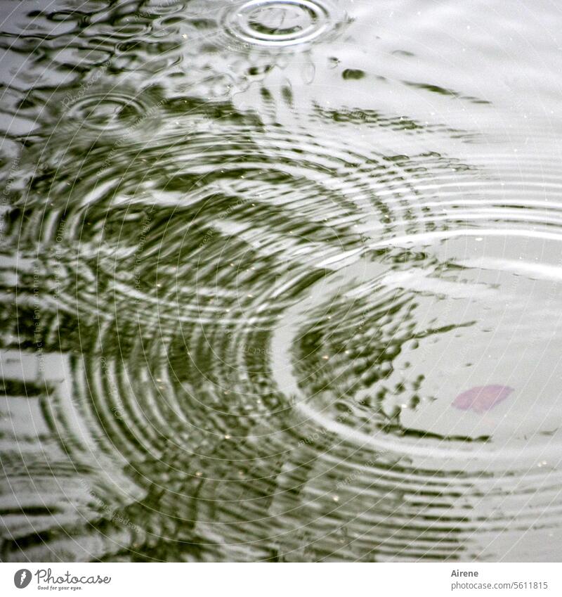 Autumn time | when the weather draws circles Water Waves Disperse Pattern Concentric Circle Lake Pond Drop Elements Weather Climate Structures and shapes