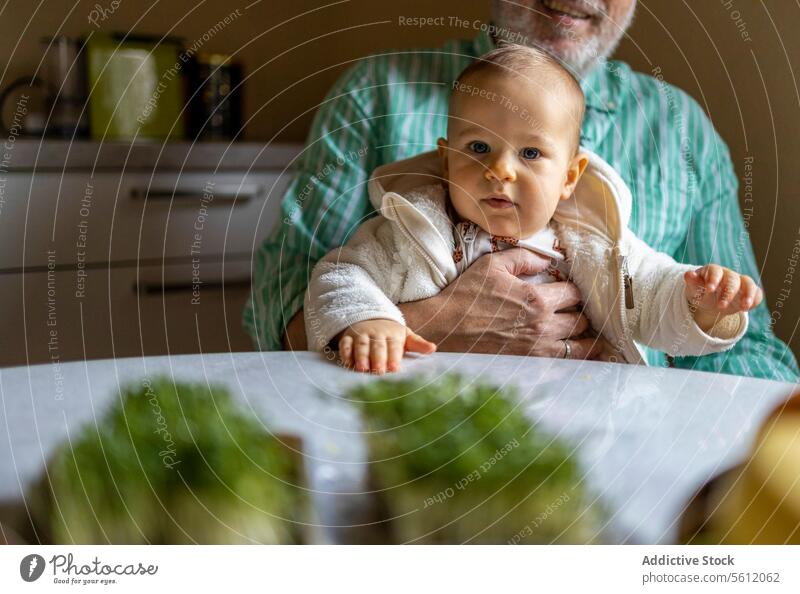 Grandfather with cute toddler at table grandfather grandson crop anonymous baby boy senior portrait home man elderly sitting caucasian people lifestyle domestic