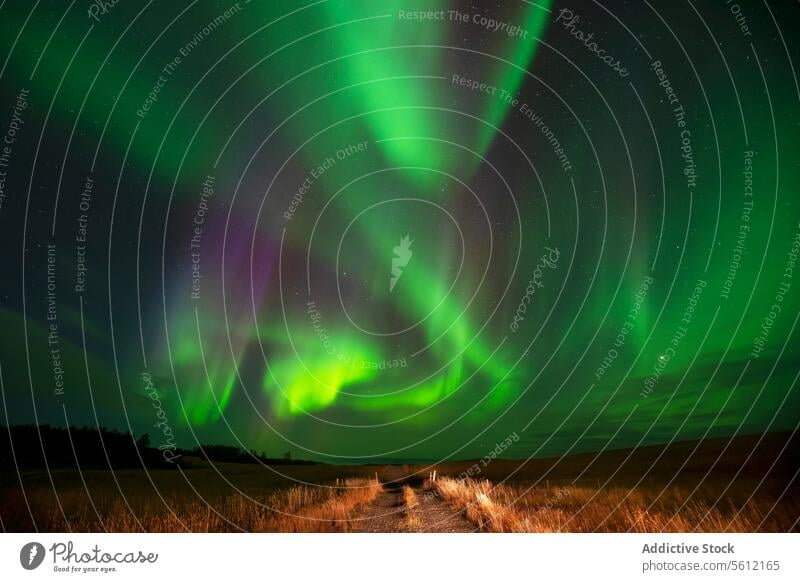 Majestic aurora borealis over the Icelandic landscape iceland night sky northern lights natural wonder green purple phenomenon cosmic atmospheric geomagnetic