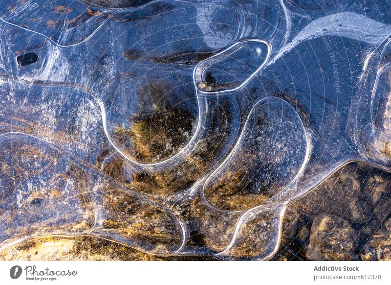 Intricate Ice Patterns on Frozen Surface ice pattern frozen surface winter cold texture detail close-up nature background transparent opacity intricate natural