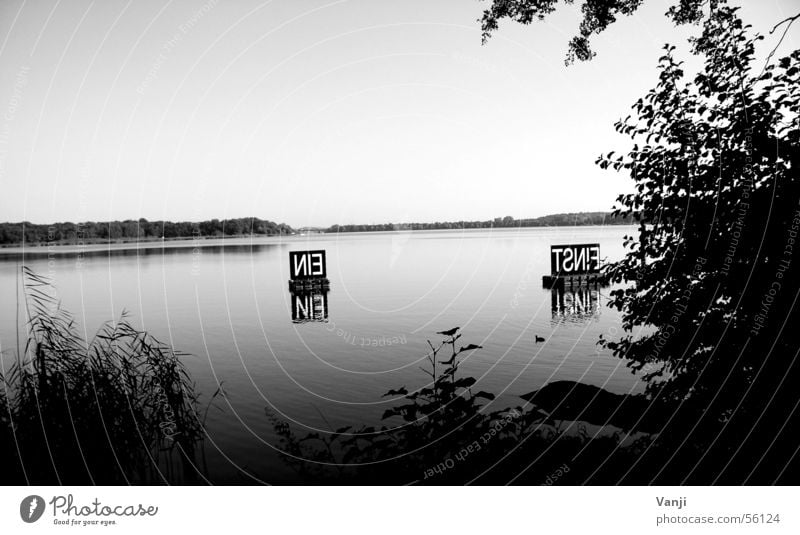 Einstein Municipality of Schwielowsee Caputh Lake Text Buoy Calm Body of water Black & white photo Water einstein Coast Signs and labeling Nature Clarity