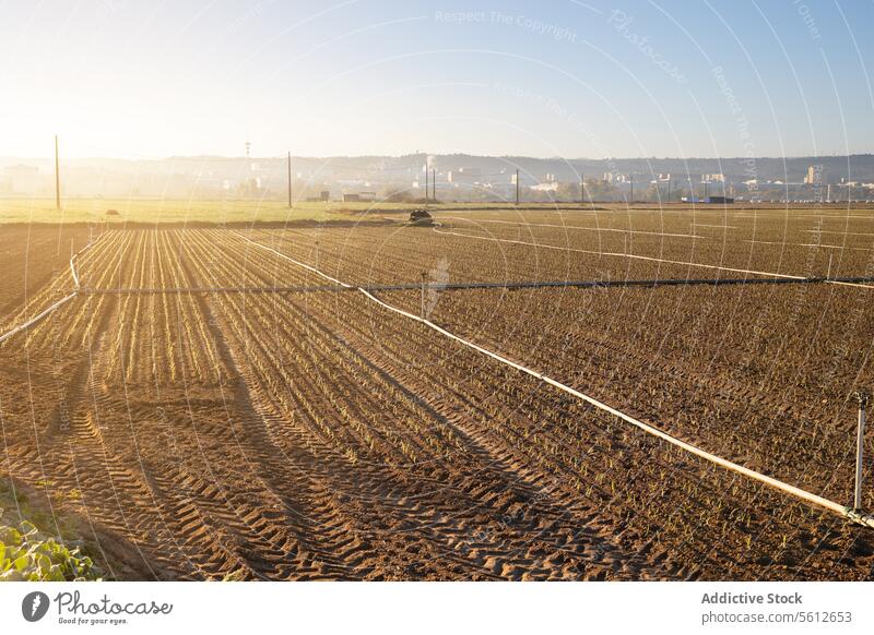 Sunlit agricultural field ready for irrigation agriculture soil sunlight pipe preparation planting farm landscape nature outdoor cultivation rural ground earth