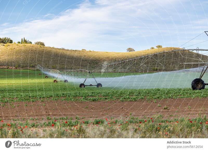 Irrigation System Watering Agricultural Field Under Blue Sky agriculture irrigation system field watering crop sky blue lush hill background farming landscape
