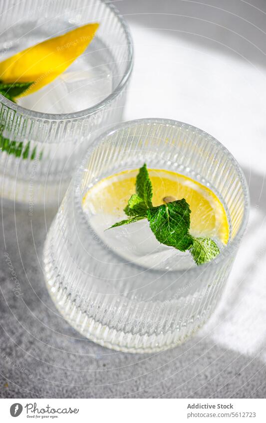 Refreshing gin tonic with lemon and mint drink cocktail alcohol beverage refreshment glass ice slice sprig shadow texture clear crystal serve bar mixology