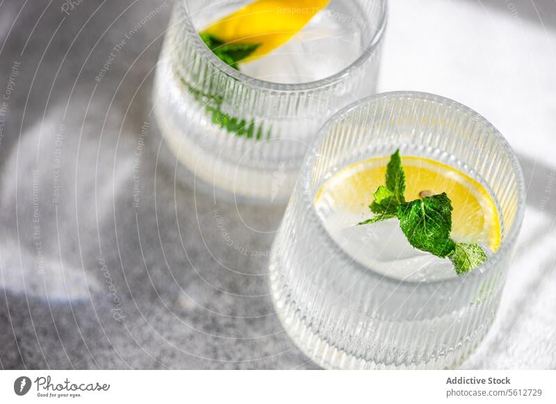 Refreshing Gin Tonic with Lemon and Mint beverage gin tonic lemon mint glass ice slice garnish refreshment alcohol cocktail drink cold lime herb citrus mix