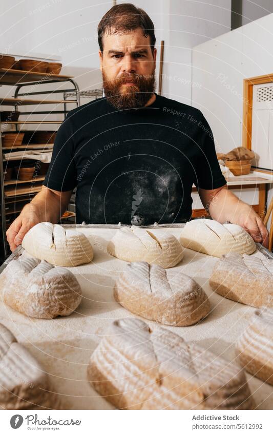 Confident man with dough in tray at bakery serious bread baking portrait confident casual attire holding uncooked looking at camera beard black standing kitchen