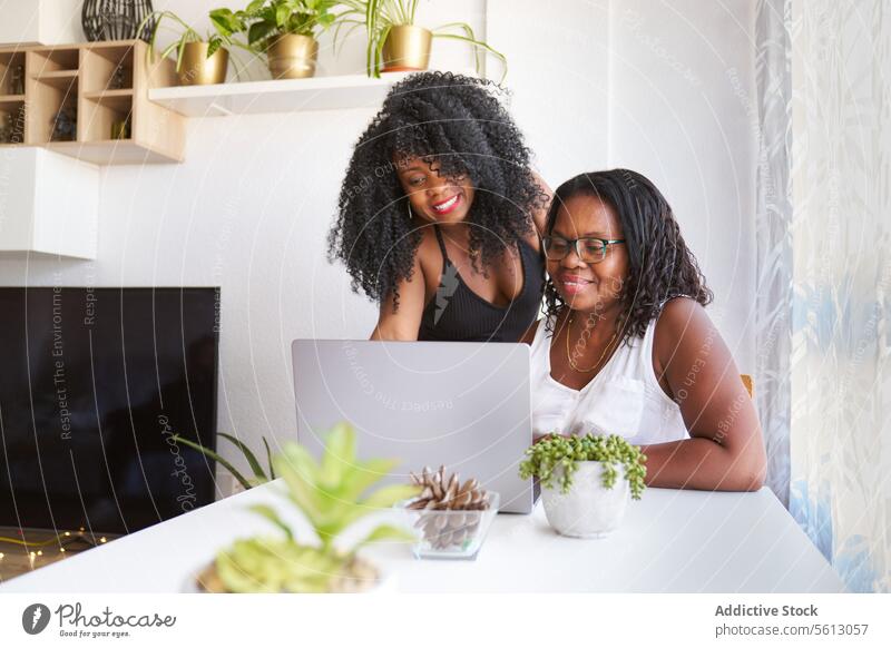 Smiling woman with mother using gadget women daughter happy laptop table afro lifestyle together sitting plant home smiling eyeglasses love domestic curly hair