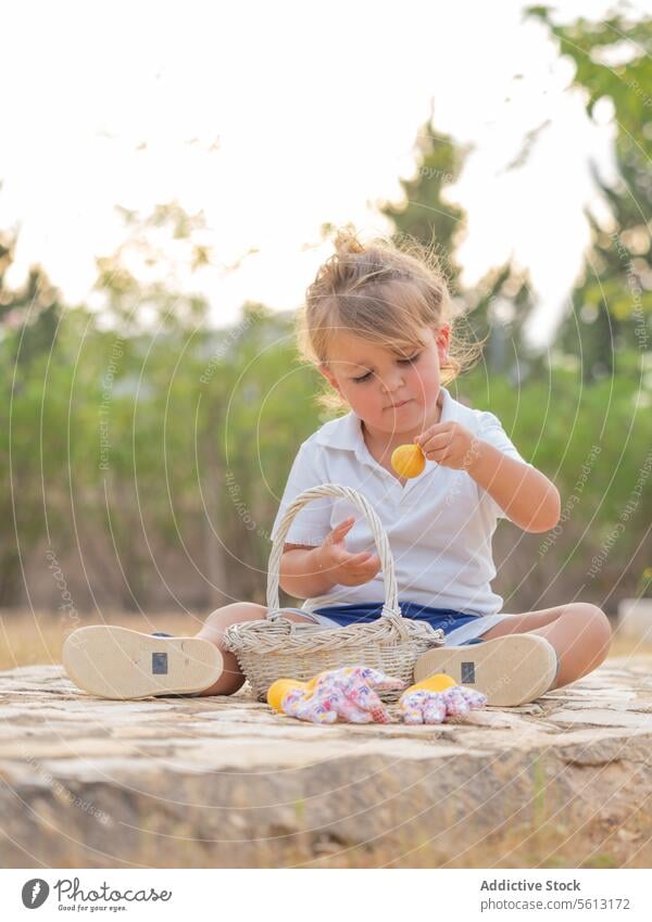 Full body of little boy sitting and looking down while examining fresh yellow fruit in backyard cute white harvested t-shirt face health ripe gardening detox