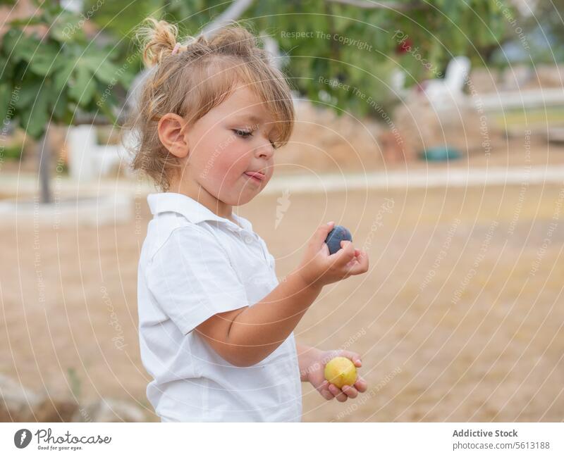 Side view of Little boy holding and examining fruits while standing on blurred outdoors garden learning childhood cute gardener organic nature active food