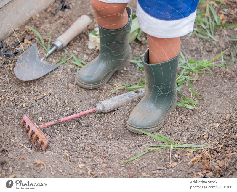 High angle of Rake and trowel by anonymous kid in boots and shorts standing in garden rake ground rubber leaf backyard leg faceless child tool plantation nature