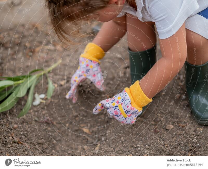 High angle of Anonymous boy in casuals and gloves collecting soil while gardening in backyard holding learning ground leaf boot faceless child plantation nature