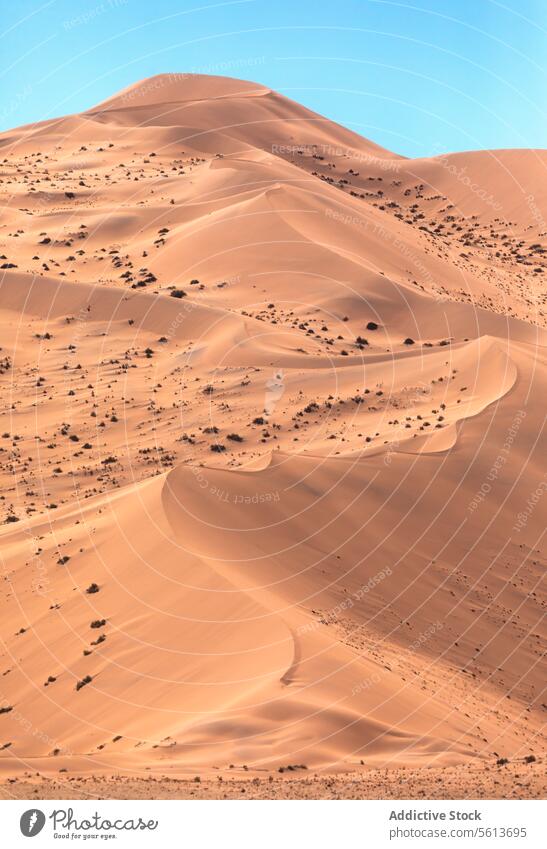 Serenity of the Namibian Dunes on sunny day desert dunes sand serene tranquil light shadow undulating texture warm tones clear sky flowing lines subtle contrast