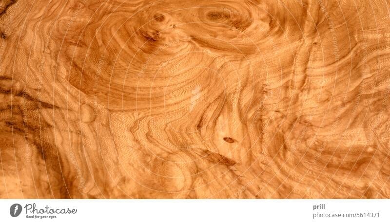 Burled wood grain wood fibers pattern arrangement burl wood root wood full frame abstract vivid brown growth surface irregular woodworking growth rings burls