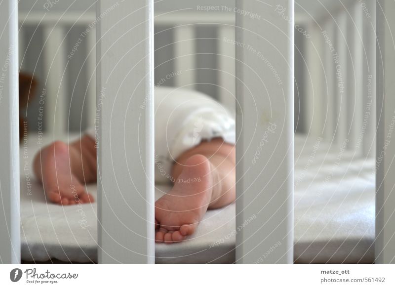 Baby behind bars Children's room Human being Toddler Family & Relations Infancy Life Feet 1 0 - 12 months Line Sleep Small Cute White Happy Love Responsibility