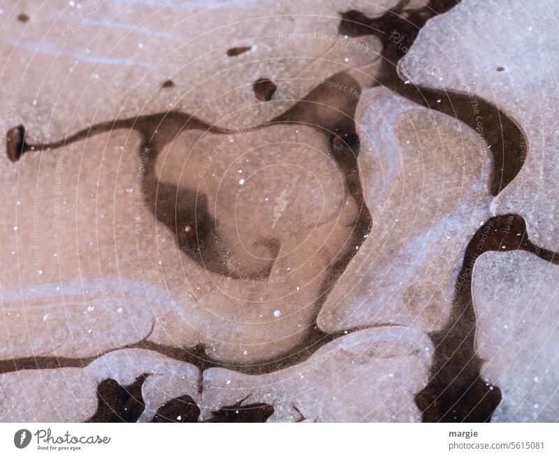 Icy puddle Puddle Ice Frost Winter Cold Deserted Water Exterior shot Frozen Abstract Structures and shapes Freeze figment of the imagination Dog Duck Pattern