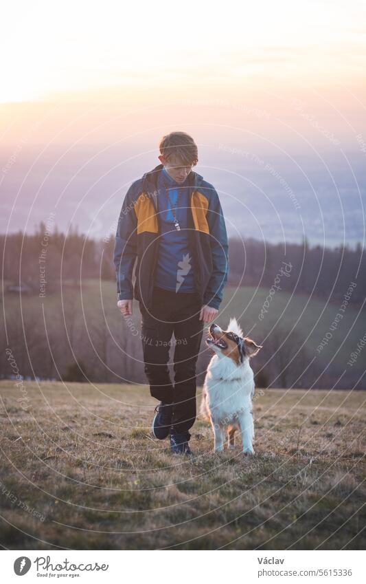 Young cynologist, a dog trainer trains a four-legged pet Australian Shepherd in basic commands using treats. Love between dog and human australian shepherd