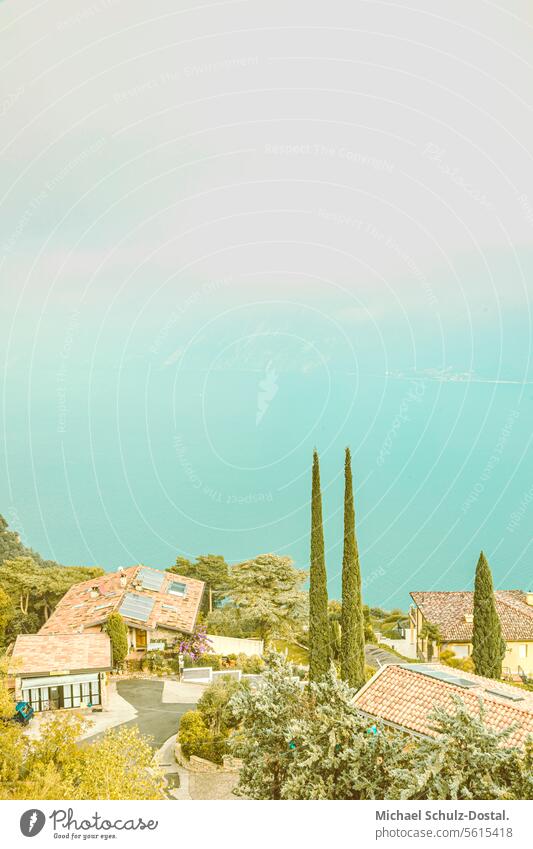 Downhill over pine trees and houses to Lake Garda Lago Italy Lombardy Water Harbour seascape port picturesque lake view pastel Stone pine Building Mediterranean