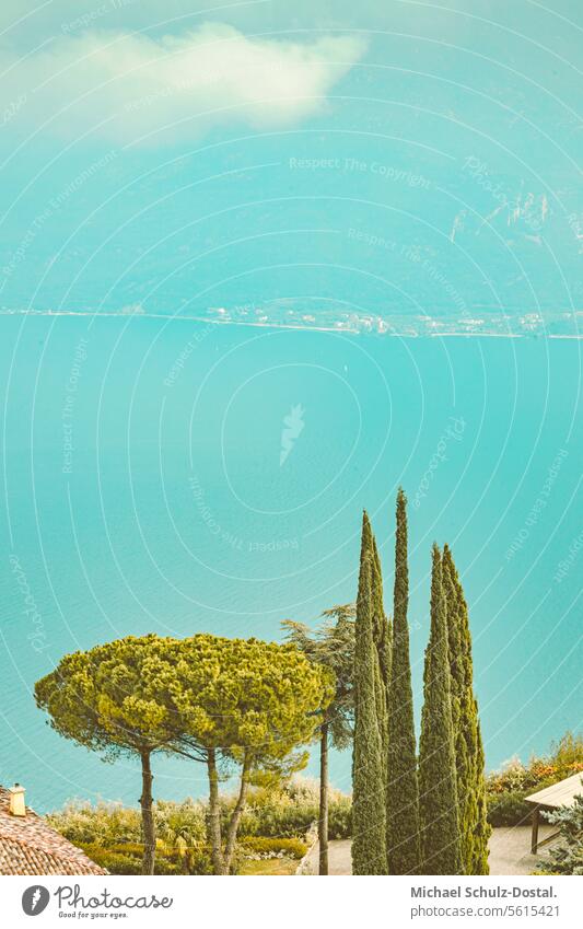 View over pine trees to Lake Garda Lago Italy Lombardy Water Harbour seascape port picturesque lake view pastel Stone pine mountains