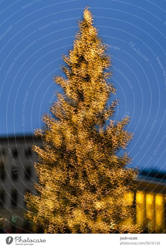 moving Christmas tree Christmas & Advent Christmas mood Festive Shaky Double exposure Reaction Christmas fairy lights blurriness defocused Illuminate Glittering