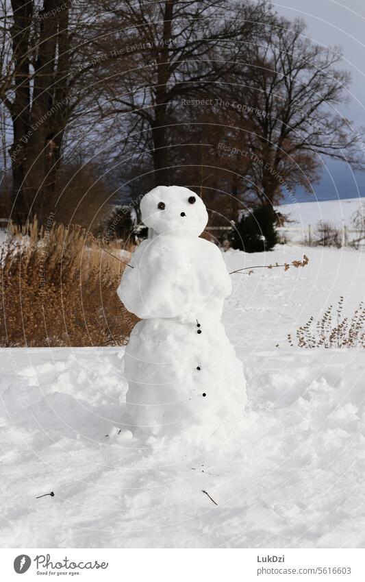 Photo of a snow man on a winter day Winter Snowman Seasons Frost Nature Cold White Exterior shot Small Playing Joy Children's game Snow ball Snowscape