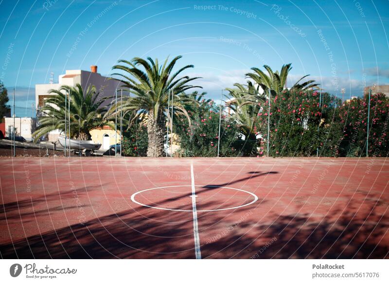 #A0# Basketball Court Basketball arena basketball court Center line Red Sporting grounds Mediterranean palms Sports Playing Basketball basket Ball sports