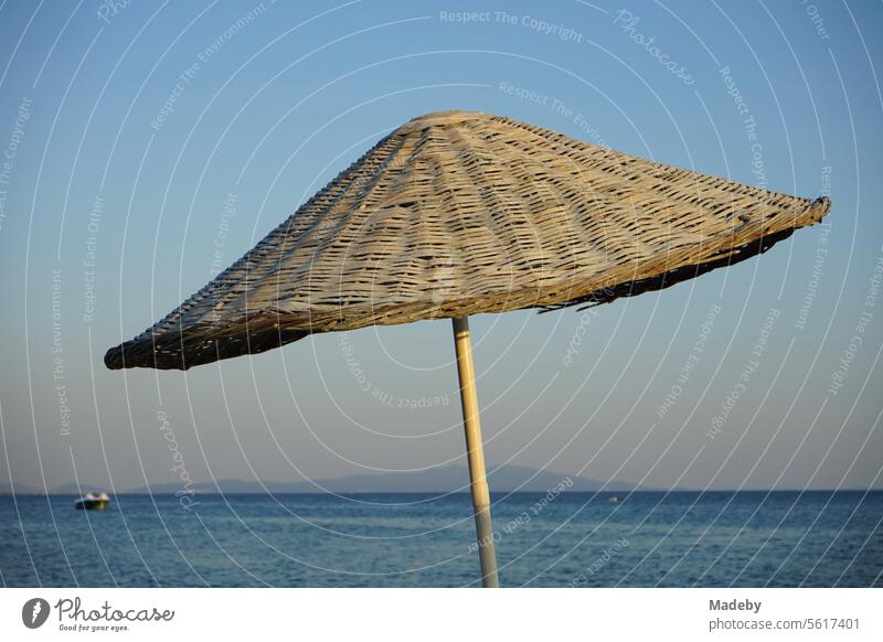 Large round wicker parasols against blue sky in the light of the evening sun in summer on the beach of Sarimsakli near Ayvalik in the province of Balikesir in Turkey