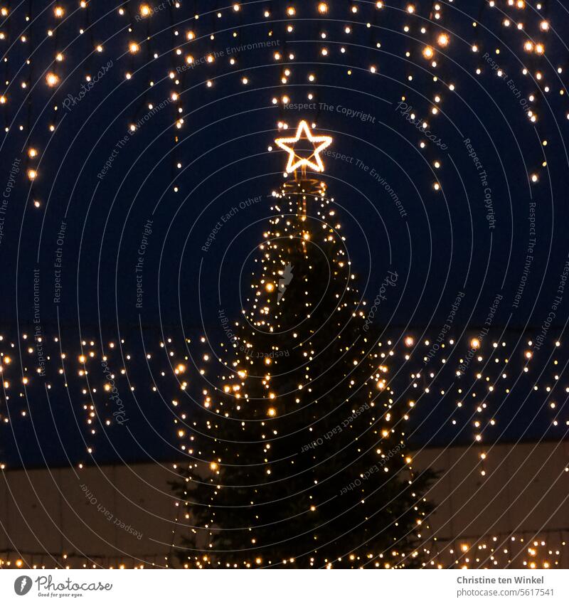 ⭐️ Merry Christmas ⭐️ | Oh Tannenbaum Christmas tree Star (Symbol) Christmas fairy lights Christmas decoration splendour Tradition Illuminate blurriness clearer