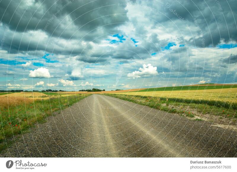Gray clouds over a gravel road in rural fields sky cloudy summer photography day outdoors horizontal no people landscape - scenery nature rural scene